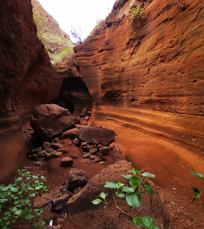 Interior del Barranco de las Vacas con paredes onduladas de tonos ocres