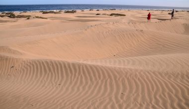 Dunas de Maspalomas en el sur de Gran Canaria bajo un cielo despejado